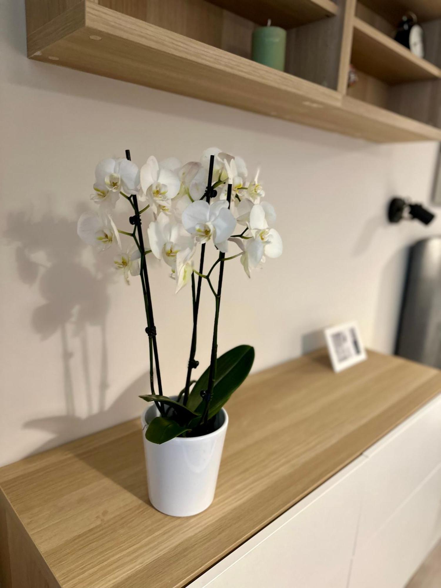 Serenity Studio Burgas by Eksteriør bilde
